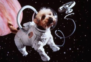 SPACE DOG